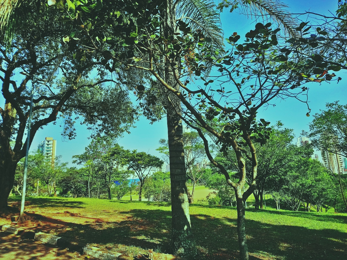 PARQUE CERET [JARDIM ANÁLIA FRANCO