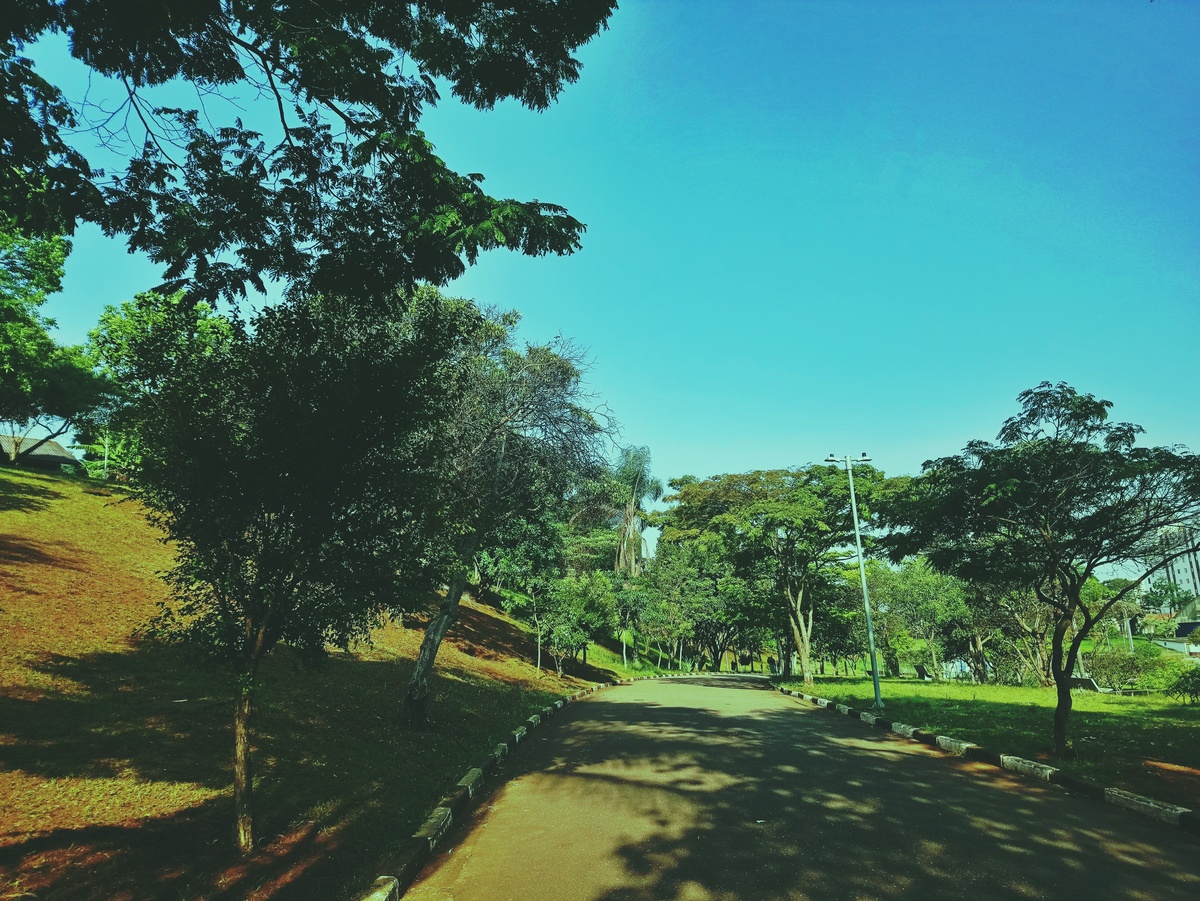 PARQUE CERET [JARDIM ANÁLIA FRANCO