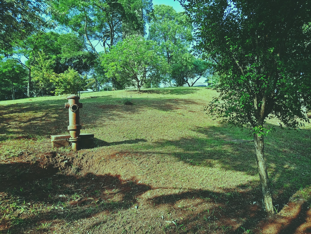 PARQUE CERET [JARDIM ANÁLIA FRANCO