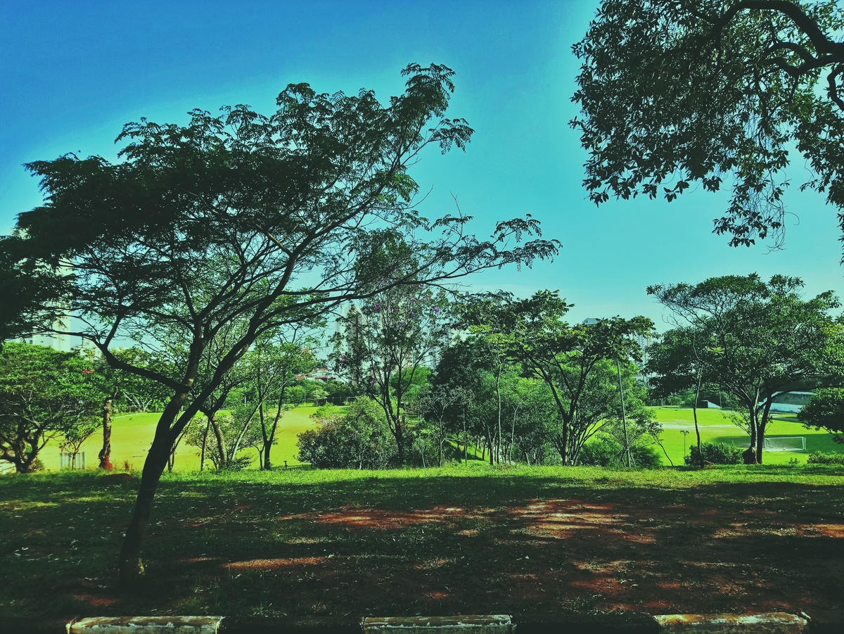 PARQUE CERET [JARDIM ANÁLIA FRANCO