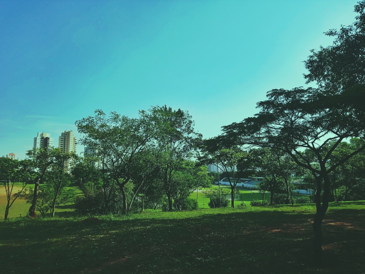 PARQUE CERET [JARDIM ANÁLIA FRANCO