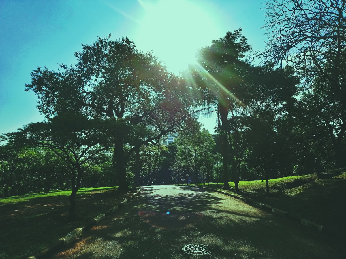 PARQUE CERET [JARDIM ANÁLIA FRANCO