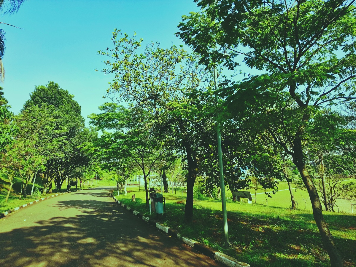 PARQUE CERET [JARDIM ANÁLIA FRANCO