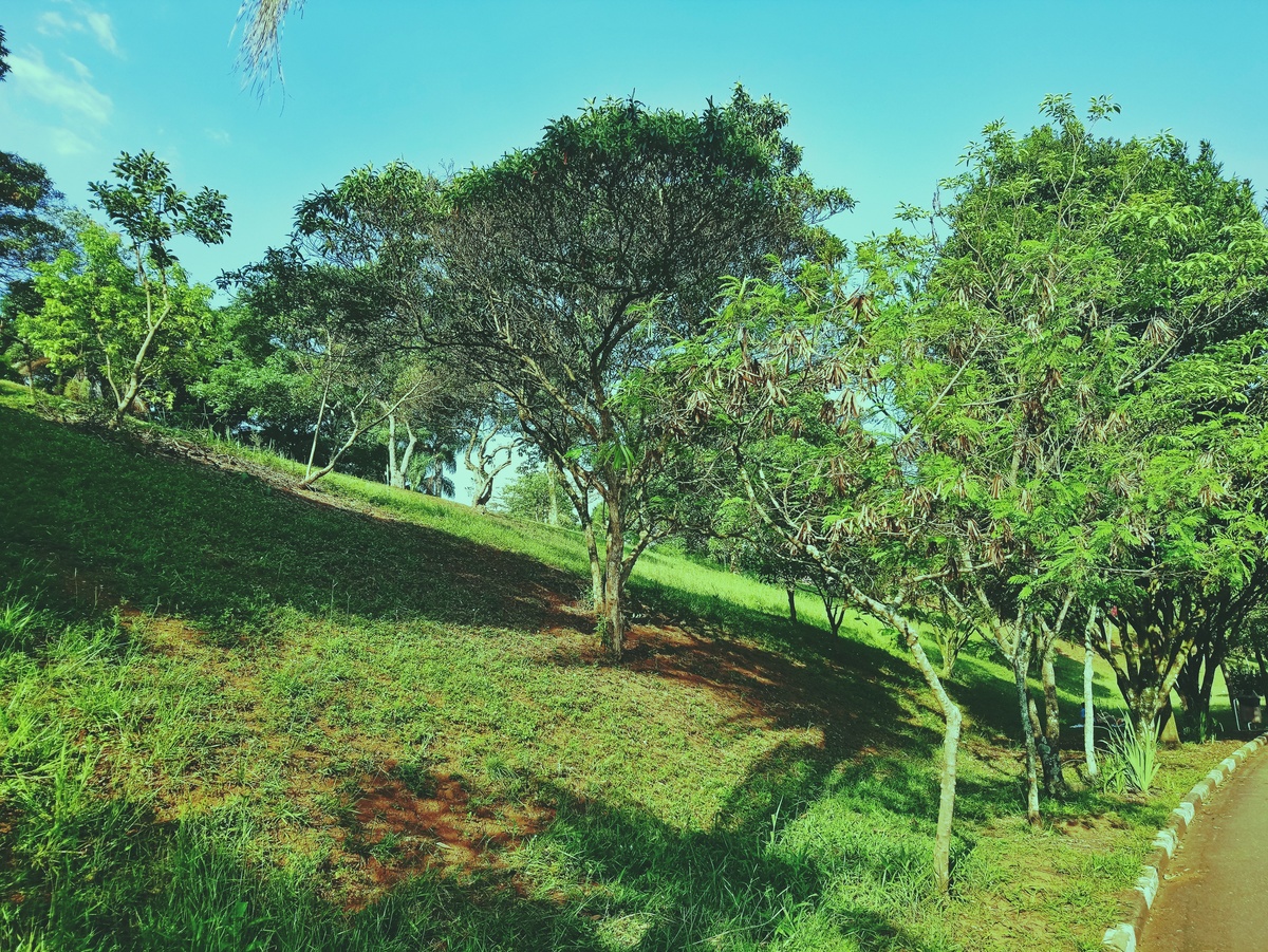 PARQUE CERET [JARDIM ANÁLIA FRANCO