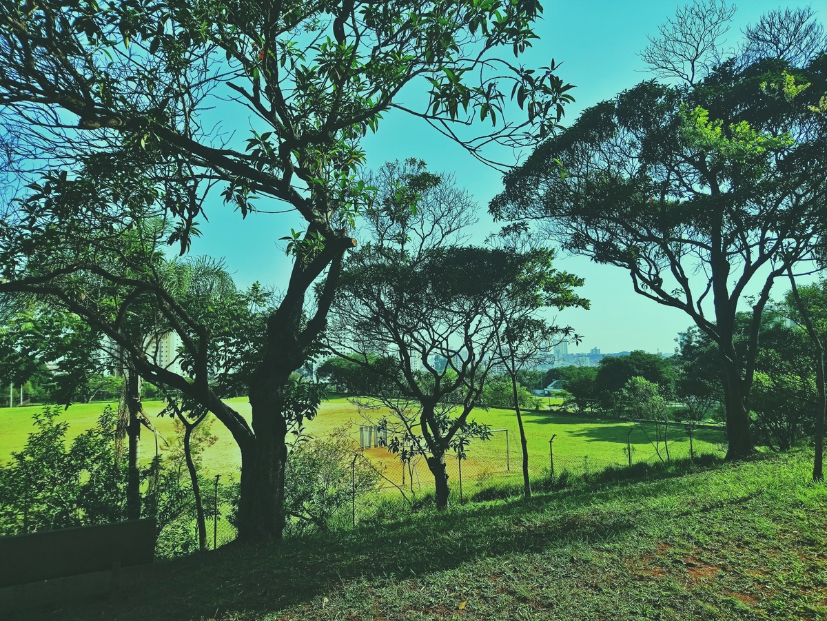 PARQUE CERET [JARDIM ANÁLIA FRANCO
