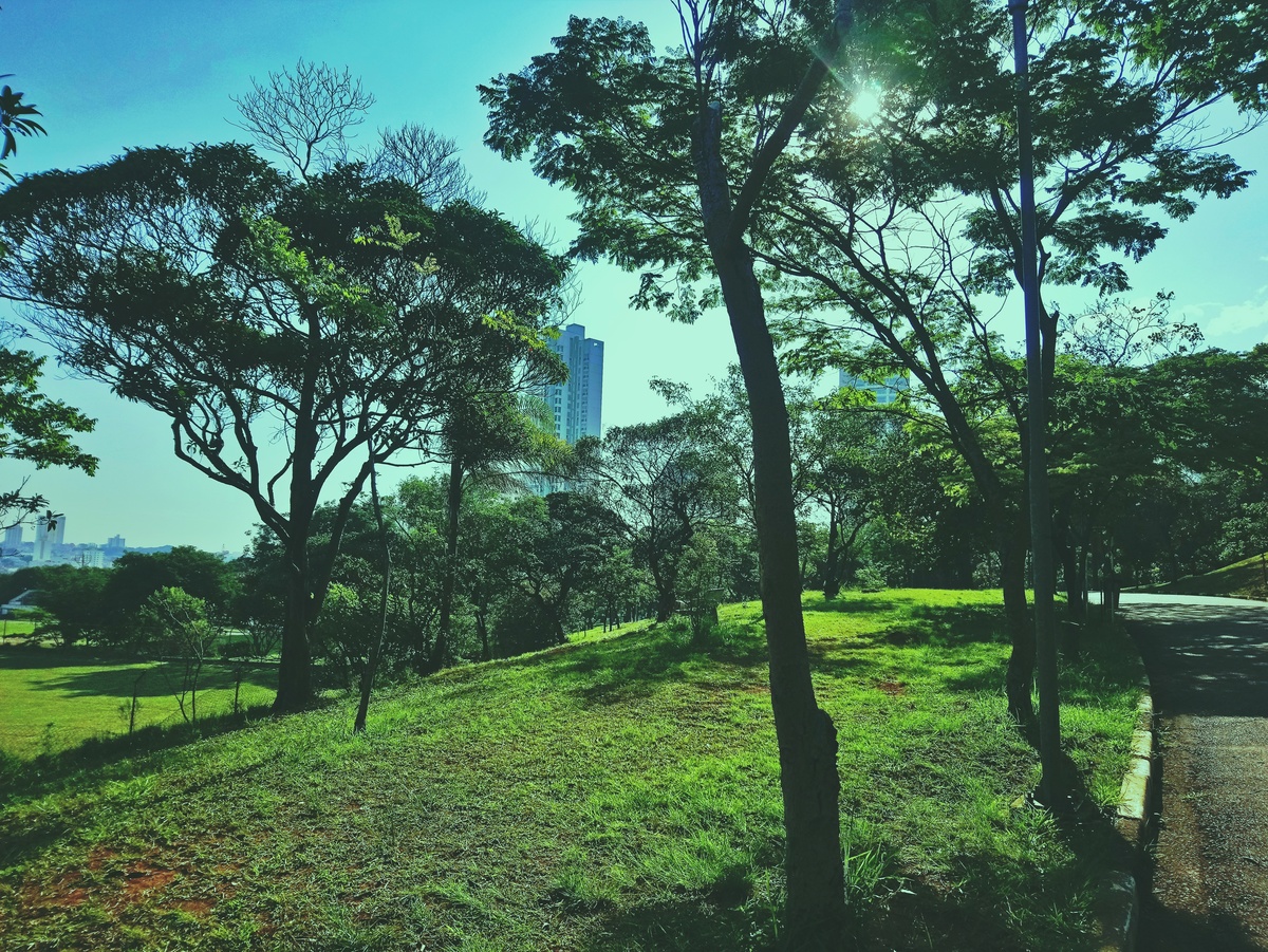 PARQUE CERET [JARDIM ANÁLIA FRANCO