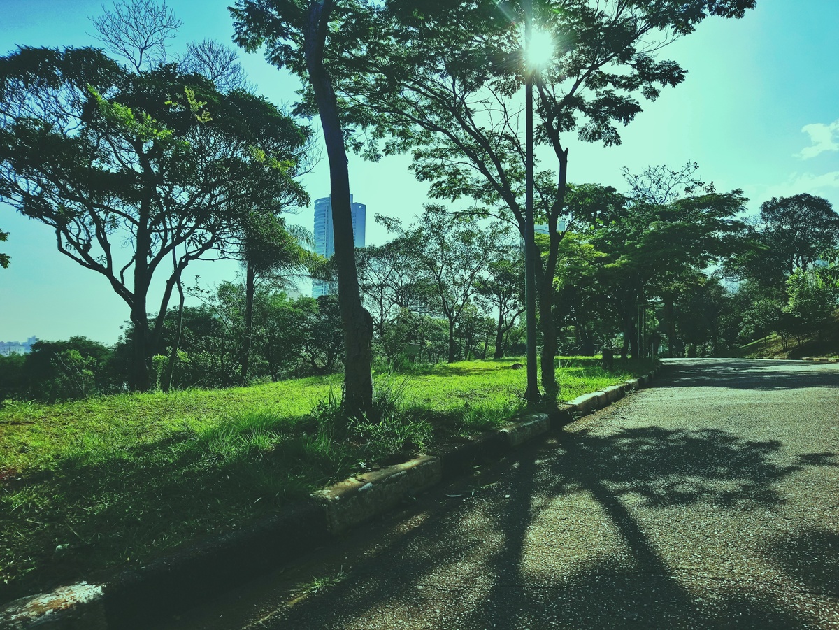 PARQUE CERET [JARDIM ANÁLIA FRANCO