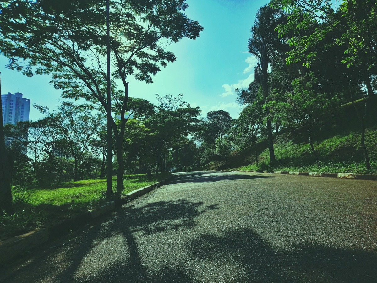 PARQUE CERET [JARDIM ANÁLIA FRANCO