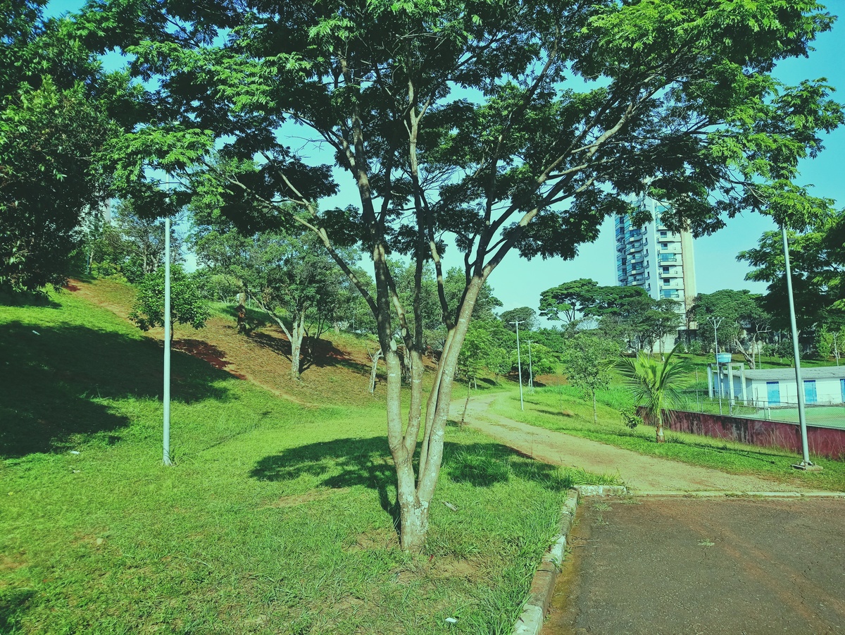 PARQUE CERET [JARDIM ANÁLIA FRANCO