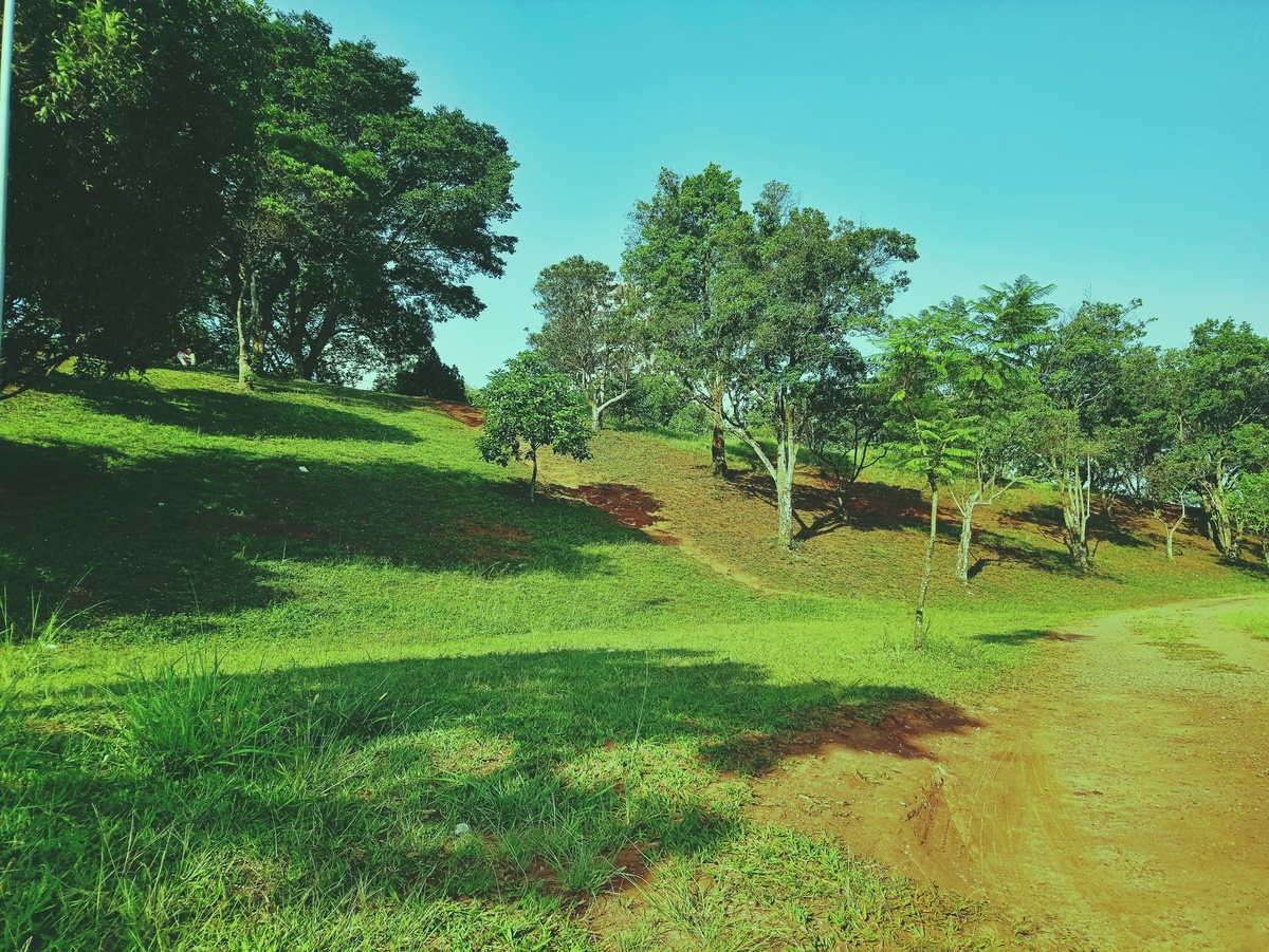 PARQUE CERET [JARDIM ANÁLIA FRANCO