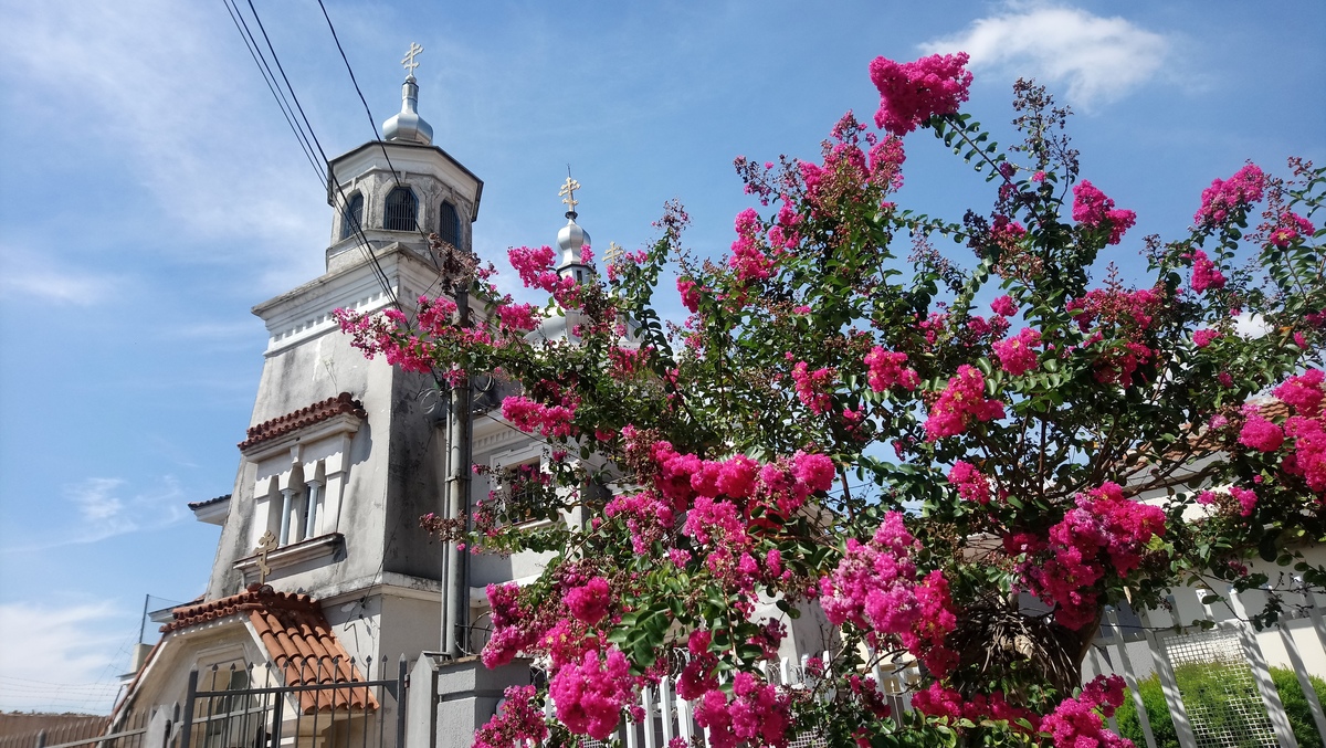 IGREJA ORTODOXA UKRANIANA