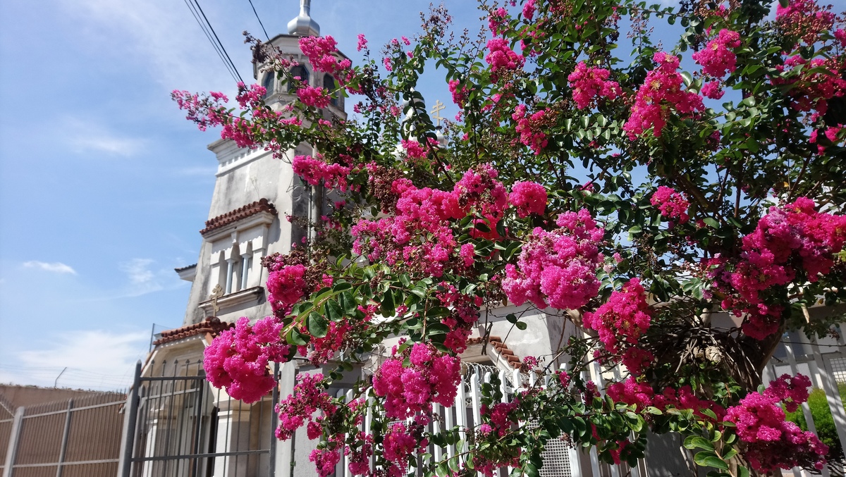 IGREJA ORTODOXA UKRANIANA