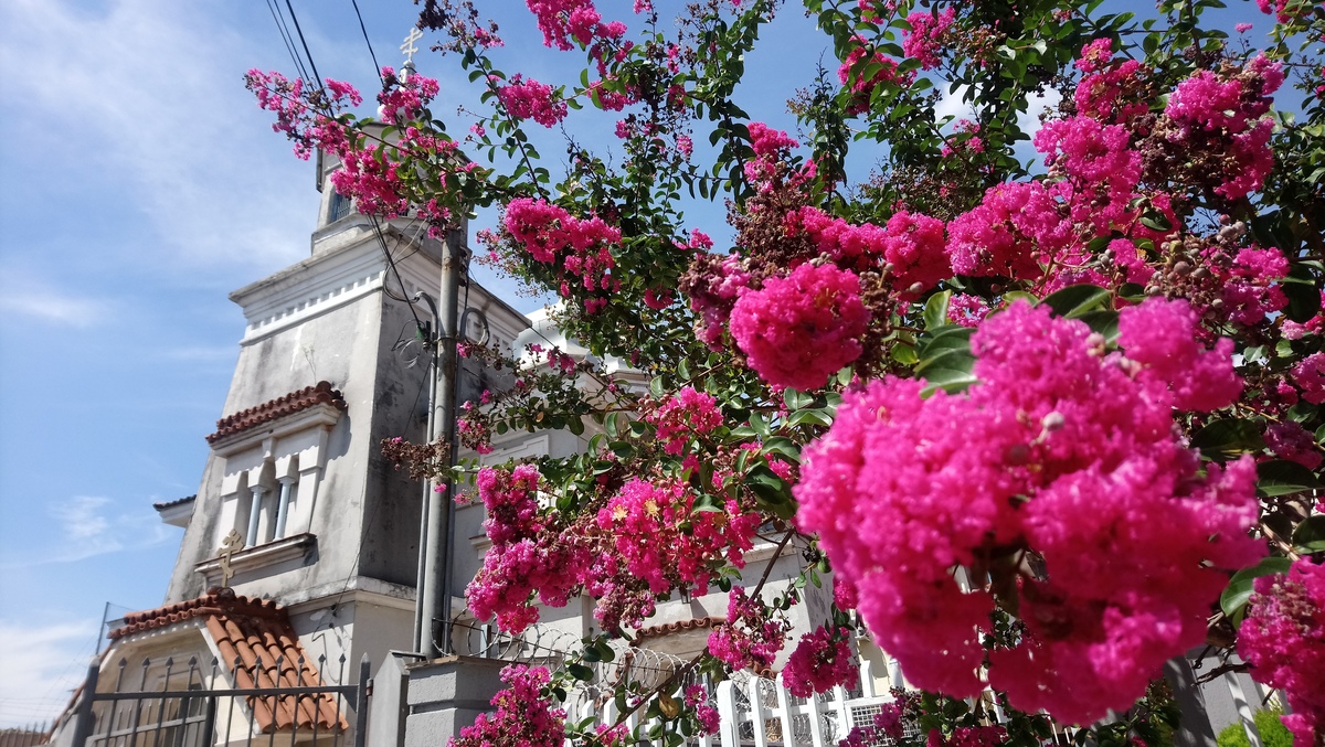 IGREJA ORTODOXA UKRANIANA