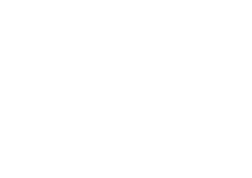 Logotipo de Studio Wellington Casarão 