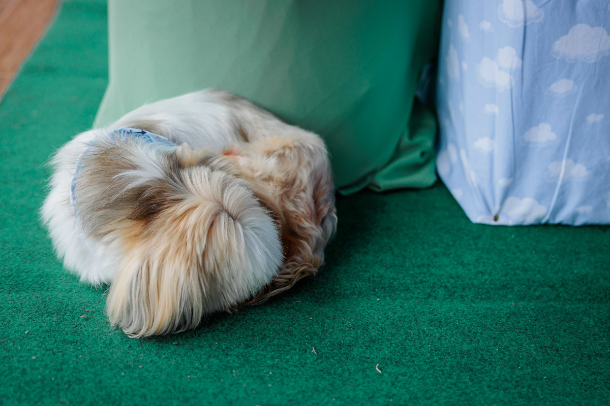 aniversário infantil, fotografo em Antônio Prado, aniversário de 5 anos, fotografo em caxias do sul, bolo de aniversário, espaço de eventos, aniversário de menino, aniversário de criança, fotografo de crianças, festas em caxias do sul, decoração de evento