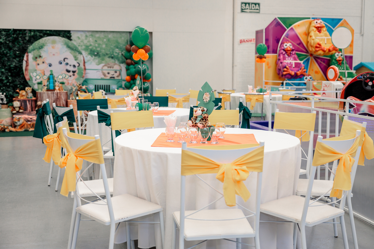 fotografo de aniversário infantil, fotografo de eventos caxias do sul, fotografo serra gaucha, fotografo de familia caxias do sul, bambolino festas, ticabum festas, pilim pim pim, ferraro kids, fotografo de formatura, play kids, fotografo caxias do sul