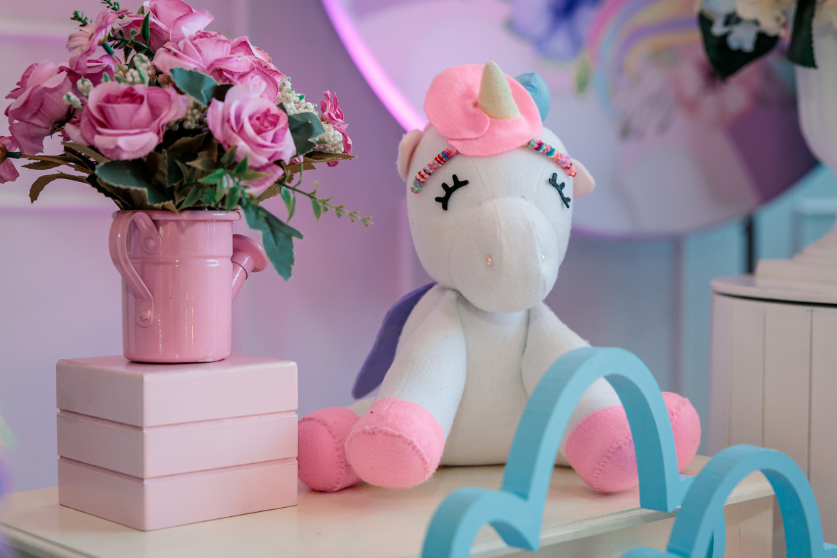 fotografo de aniversário infantil, fotografo de eventos caxias do sul, fotografo serra gaucha, fotografo de familia caxias do sul, bambolino festas, ticabum festas, pilim pim pim, ferraro kids, casa baruk, by ange, fotografo caxias do sul, park fest