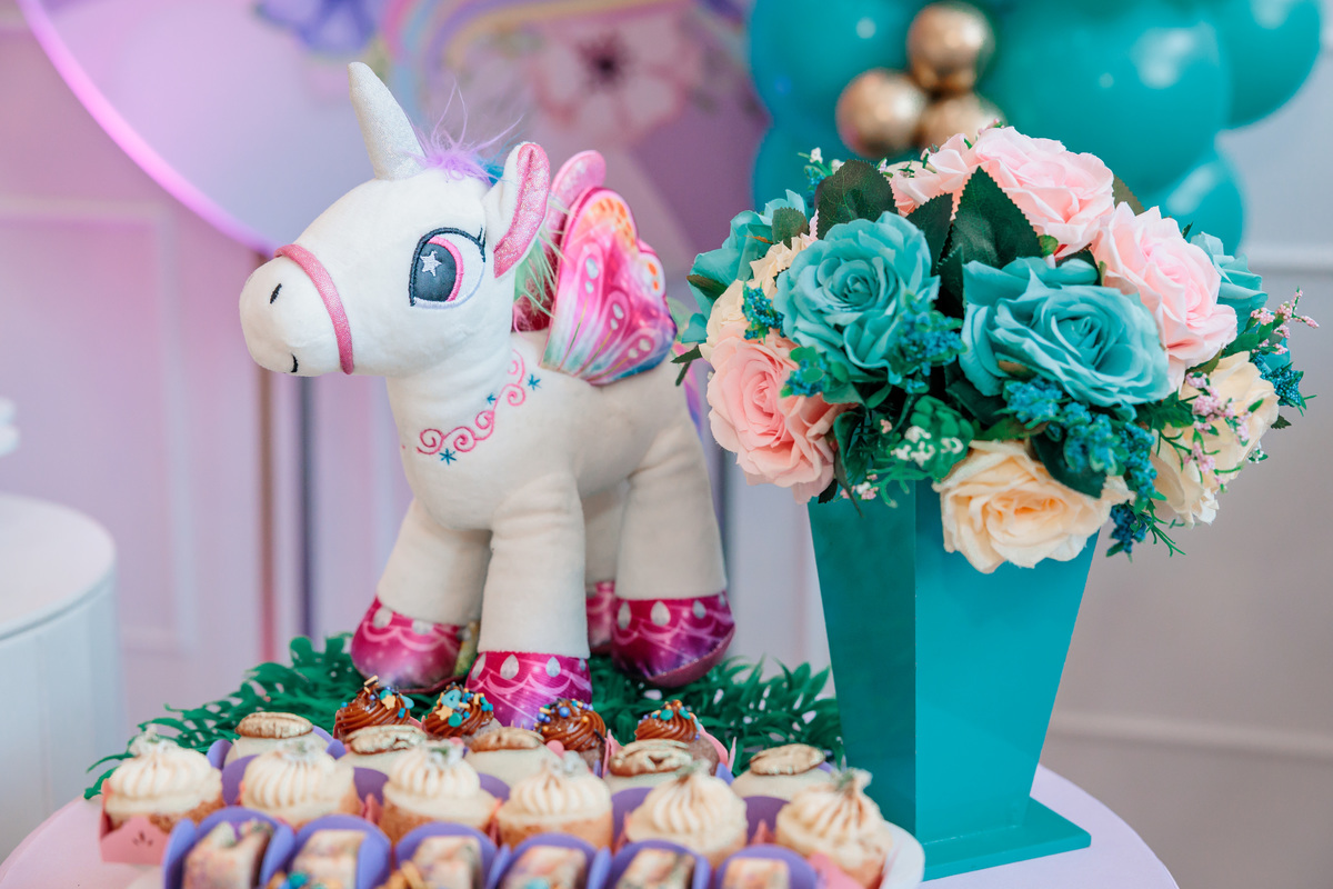 fotografo de aniversário infantil, fotografo de eventos caxias do sul, fotografo serra gaucha, fotografo de familia caxias do sul, bambolino festas, ticabum festas, pilim pim pim, ferraro kids, casa baruk, by ange, fotografo caxias do sul, park fest