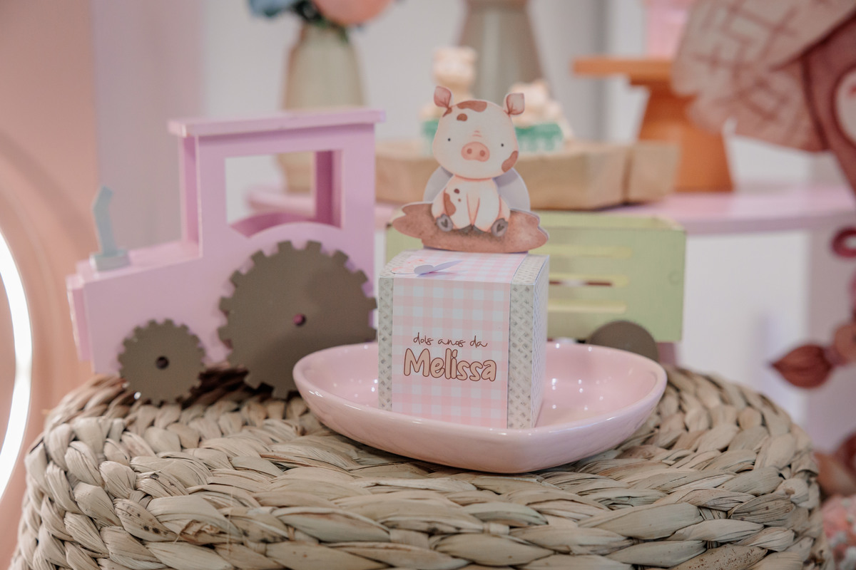 fotografo de aniversário infantil, fotografo de eventos caxias do sul, fotografo serra gaucha, fotografo de familia caxias do sul, bambolino festas, ticabum festas, pilim pim pim, ferraro kids, casa baruk, by ange, fotografo caxias do sul, park fest