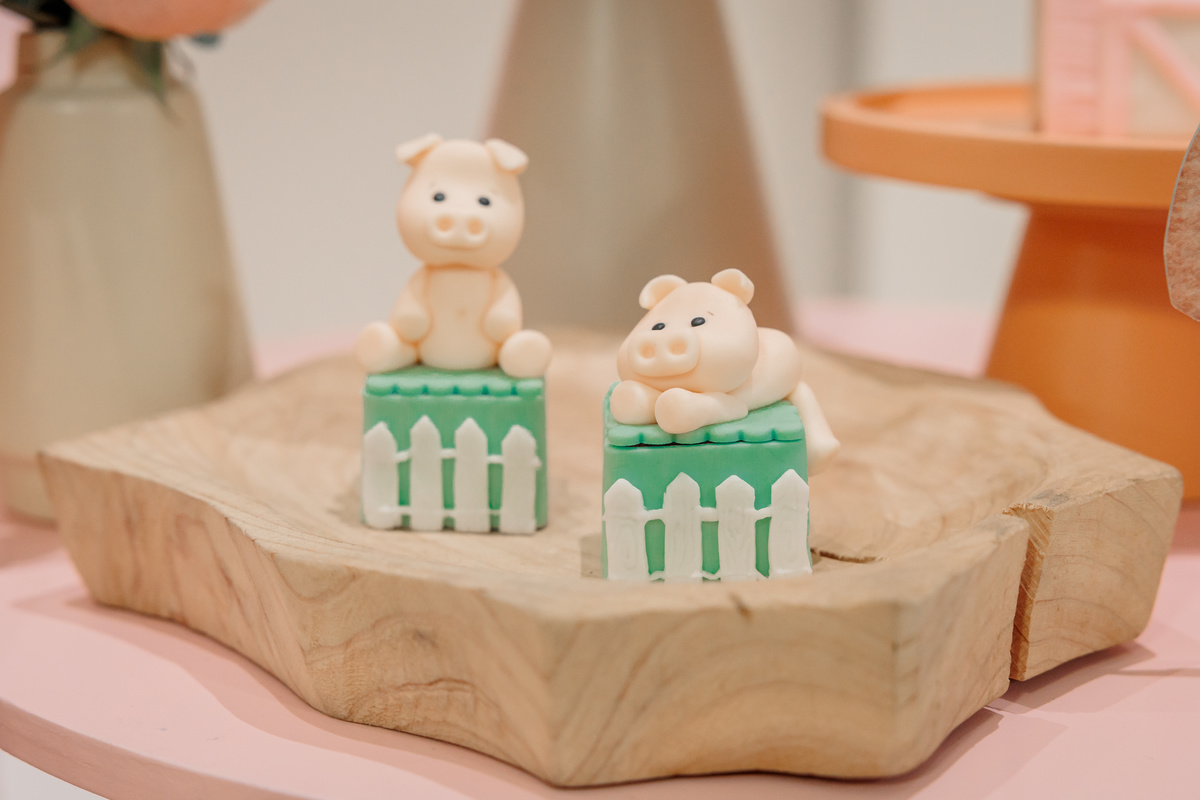 fotografo de aniversário infantil, fotografo de eventos caxias do sul, fotografo serra gaucha, fotografo de familia caxias do sul, bambolino festas, ticabum festas, pilim pim pim, ferraro kids, casa baruk, by ange, fotografo caxias do sul, park fest