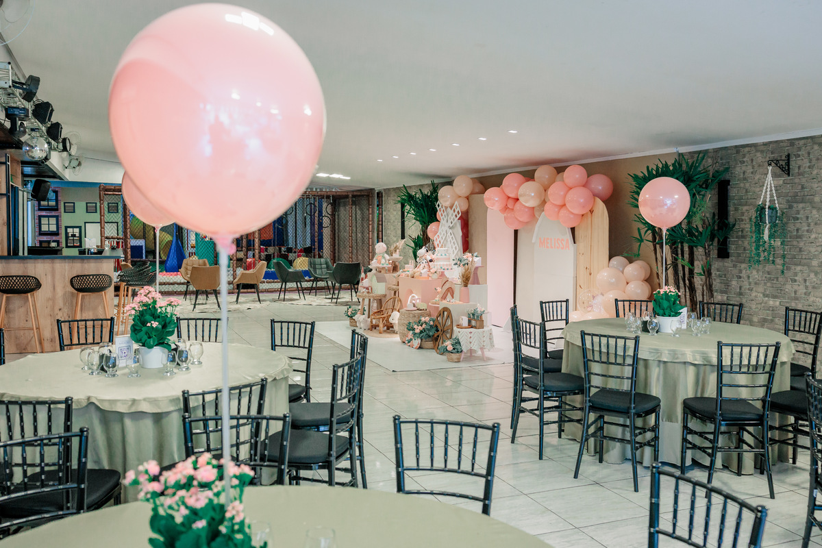 fotografo de aniversário infantil, fotografo de eventos caxias do sul, fotografo serra gaucha, fotografo de familia caxias do sul, bambolino festas, ticabum festas, pilim pim pim, ferraro kids, casa baruk, by ange, fotografo caxias do sul, park fest