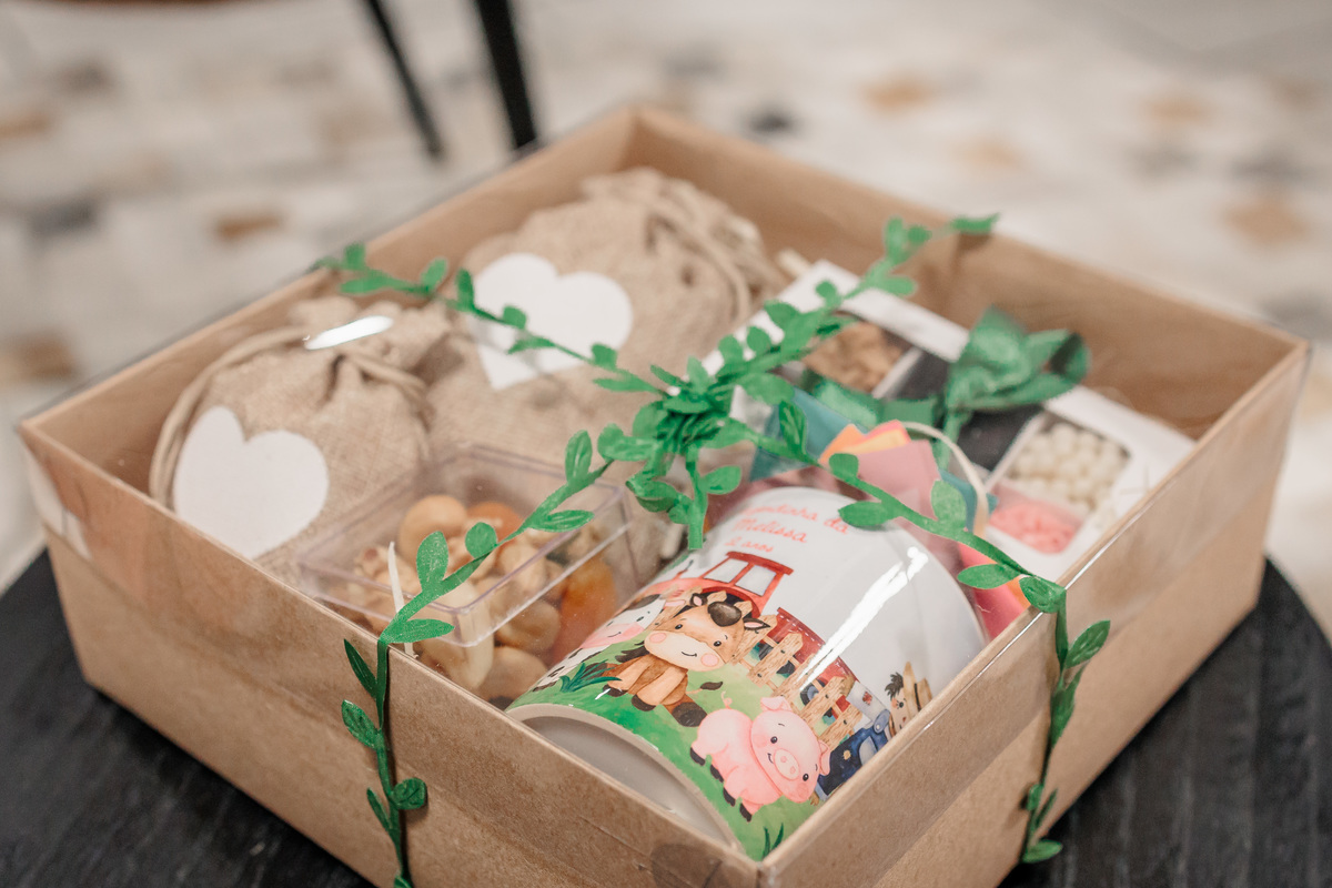 fotografo de aniversário infantil, fotografo de eventos caxias do sul, fotografo serra gaucha, fotografo de familia caxias do sul, bambolino festas, ticabum festas, pilim pim pim, ferraro kids, casa baruk, by ange, fotografo caxias do sul, park fest