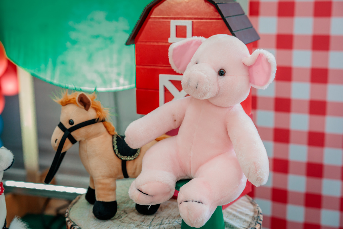 fotografo de aniversário infantil, fotografo de eventos caxias do sul, fotografo serra gaucha, fotografo de familia caxias do sul, bambolino festas, ticabum festas, pilim pim pim, ferraro kids, casa baruk, by ange, fotografo caxias do sul, park fest