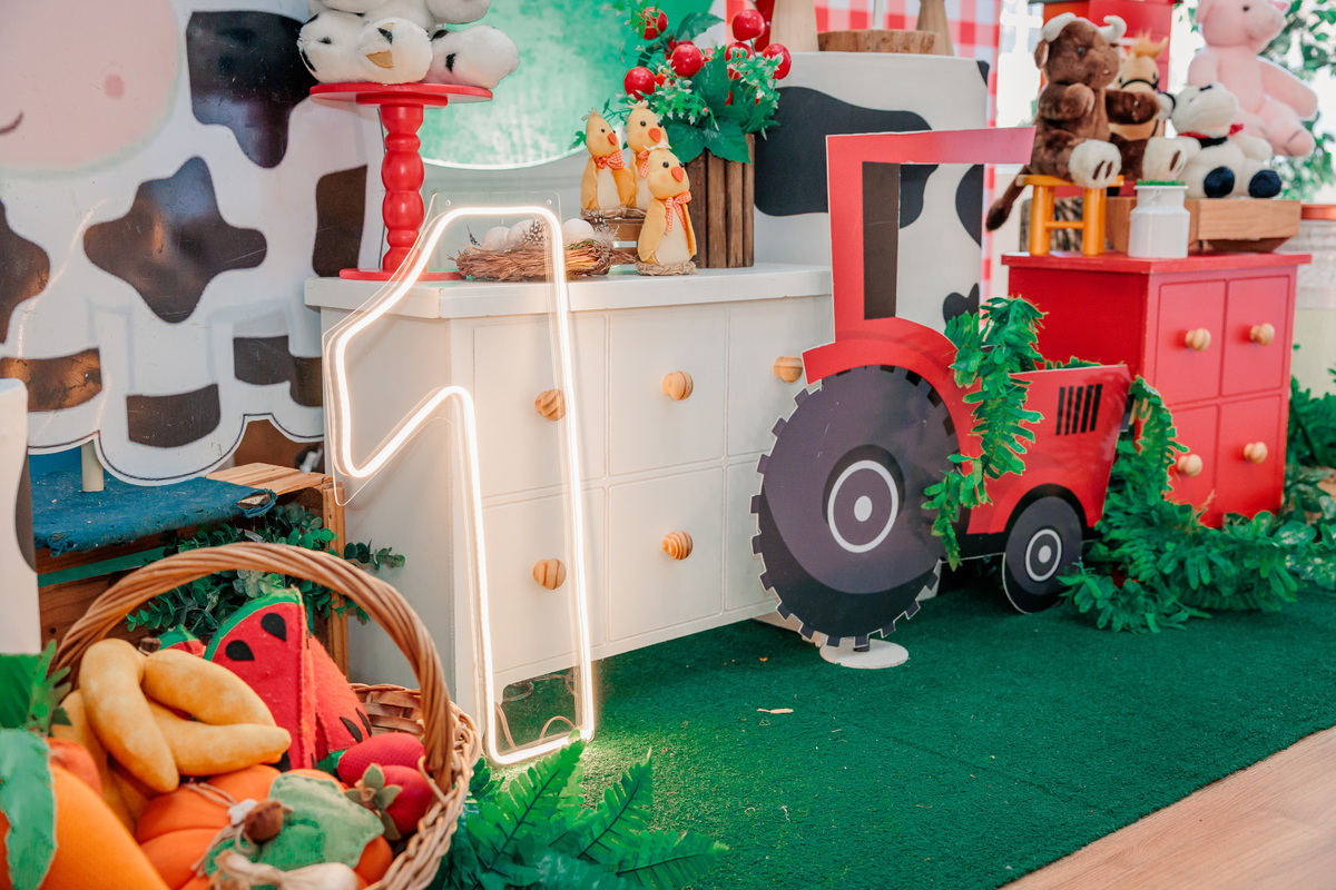 fotografo de aniversário infantil, fotografo de eventos caxias do sul, fotografo serra gaucha, fotografo de familia caxias do sul, bambolino festas, ticabum festas, pilim pim pim, ferraro kids, casa baruk, by ange, fotografo caxias do sul, park fest