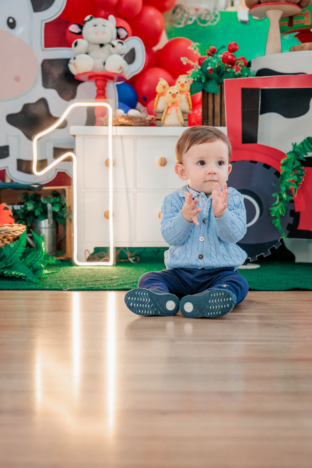 fotografo de aniversário infantil, fotografo de eventos caxias do sul, fotografo serra gaucha, fotografo de familia caxias do sul, bambolino festas, ticabum festas, pilim pim pim, ferraro kids, casa baruk, by ange, fotografo caxias do sul, park fest