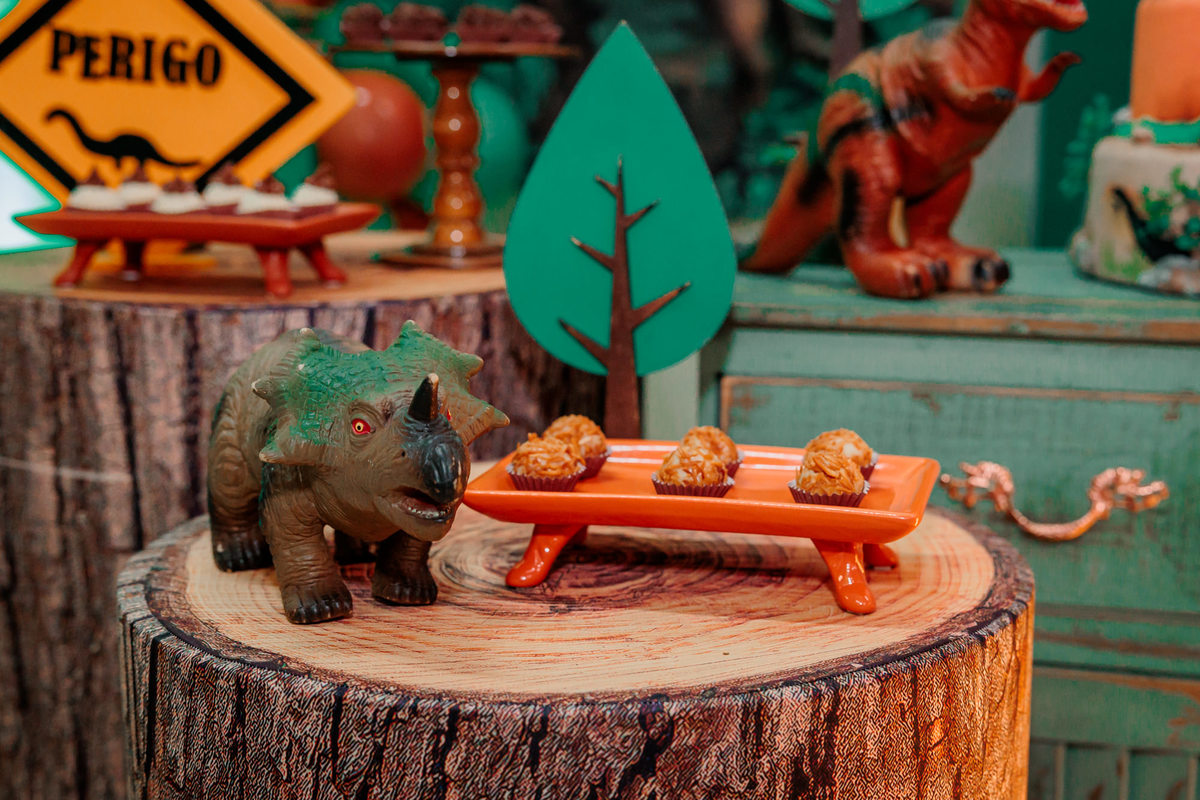 fotografo de aniversário infantil, fotografo de eventos caxias do sul, fotografo serra gaucha, fotografo de familia caxias do sul, bambolino festas, ticabum festas, pilim pim pim, ferraro kids, casa baruk, by ange, fotografo caxias do sul, park fest