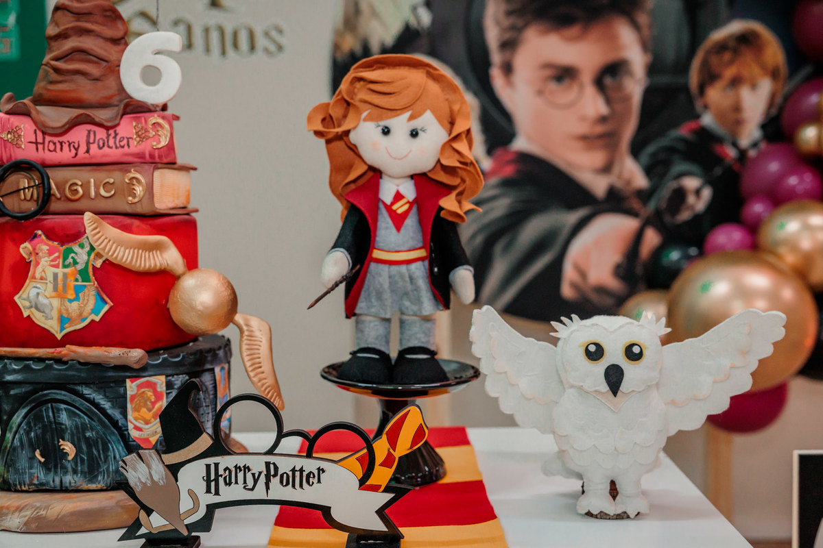 fotografo de aniversário infantil, fotografo de eventos caxias do sul, fotografo serra gaucha, fotografo de familia caxias do sul, bambolino festas, ticabum festas, pilim pim pim, ferraro kids, casa baruk, by ange, fotografo caxias do sul, park fest