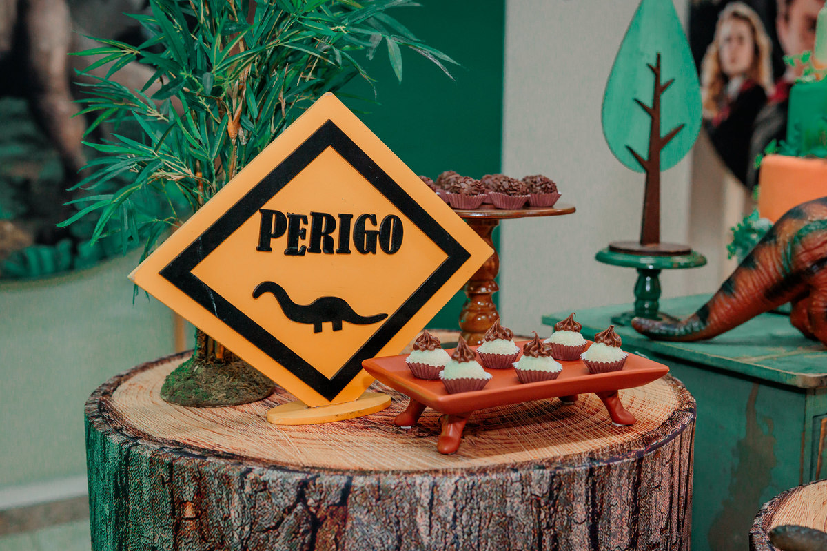 fotografo de aniversário infantil, fotografo de eventos caxias do sul, fotografo serra gaucha, fotografo de familia caxias do sul, bambolino festas, ticabum festas, pilim pim pim, ferraro kids, casa baruk, by ange, fotografo caxias do sul, park fest