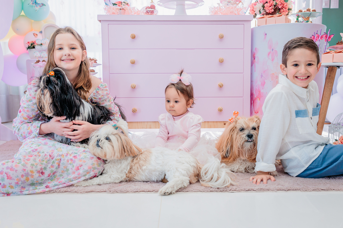 fotografo de aniversário infantil, fotografo de eventos caxias do sul, fotografo serra gaucha, fotografo de familia caxias do sul, bambolino festas, ticabum festas, pilim pim pim, ferraro kids, casa baruk, by ange, fotografo caxias do sul, park fest