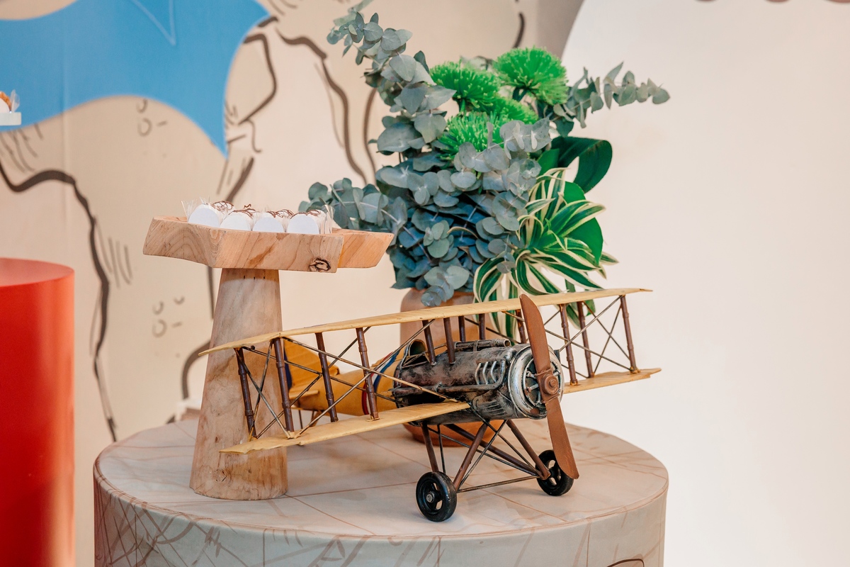 fotografo de aniversário infantil, fotografo de eventos caxias do sul, fotografo serra gaucha, fotografo de familia caxias do sul, bambolino festas, ticabum festas, pilim pim pim, ferraro kids, casa baruk, by ange, fotografo caxias do sul, park fest