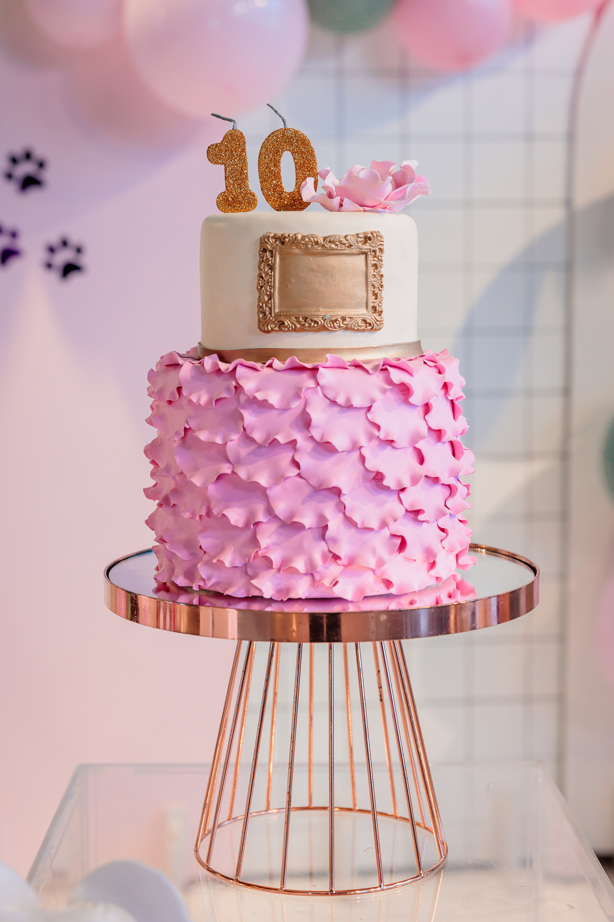 fotografo de aniversário infantil caxias do sul, fotografo de eventos caxias do sul, fotografo caxias do sul, fotografo de formatura caxias do sul, decoração de aniversário infantil, fotografo de família caxias do sul, fotografo de festa infantil