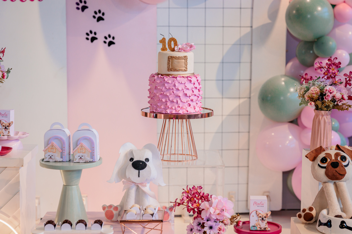 fotografo de aniversário infantil caxias do sul, fotografo de eventos caxias do sul, fotografo caxias do sul, fotografo de formatura caxias do sul, decoração de aniversário infantil, fotografo de família caxias do sul, fotografo de festa infantil