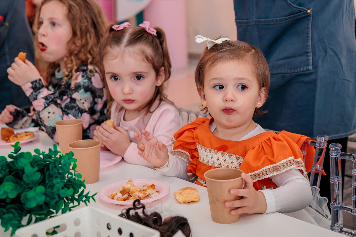 Fotógrafo de aniversário infantil em Farroupilha, fotografia infantil, festa infantil na Ticabum, aniversário de 2 anos da Sofia, Ticabum Farroupilha, Evandro Stocco Fotografia, fotógrafo infantil em Caxias do Sul e região