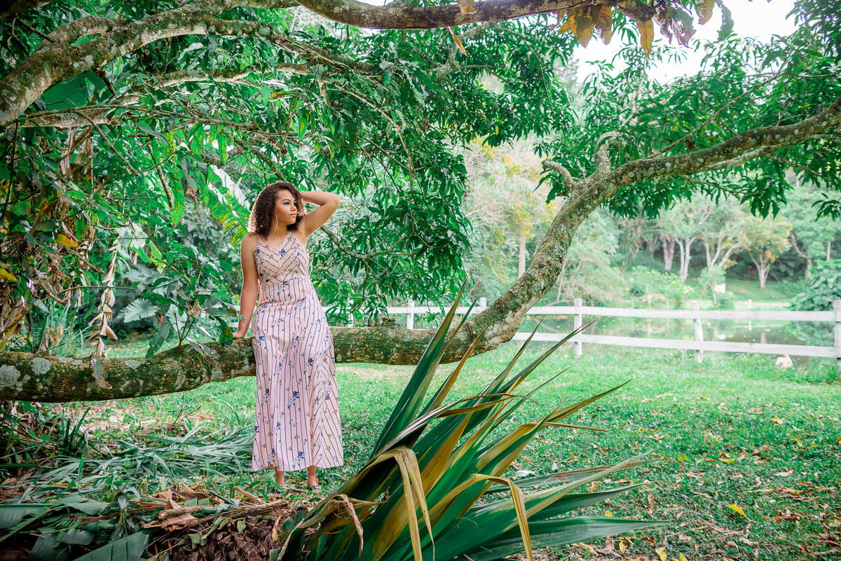 ensaio 15 anos são joão del rei