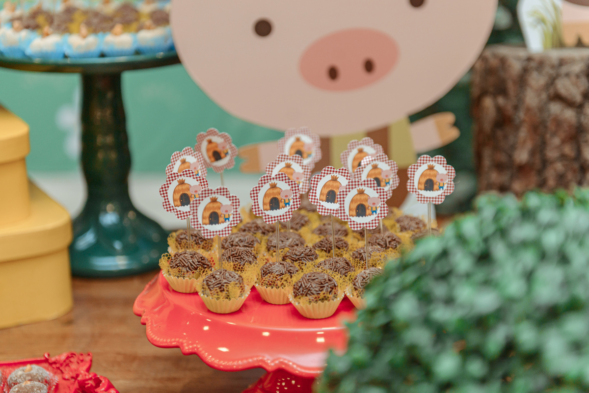 Aniversário Infantil