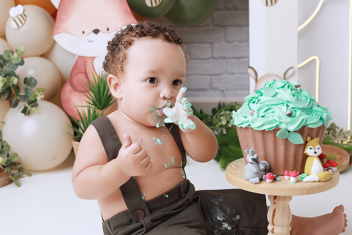 smash, smash the cake, ideias jardim encantado, sessão do bolinho, cake smash, smash the cake tema jardim encantado, smash the cake cenário jardim, jardim encantado,bolo jardim encantado,smash the cake para menina,sessão de um ano no tema jardim,borboleta