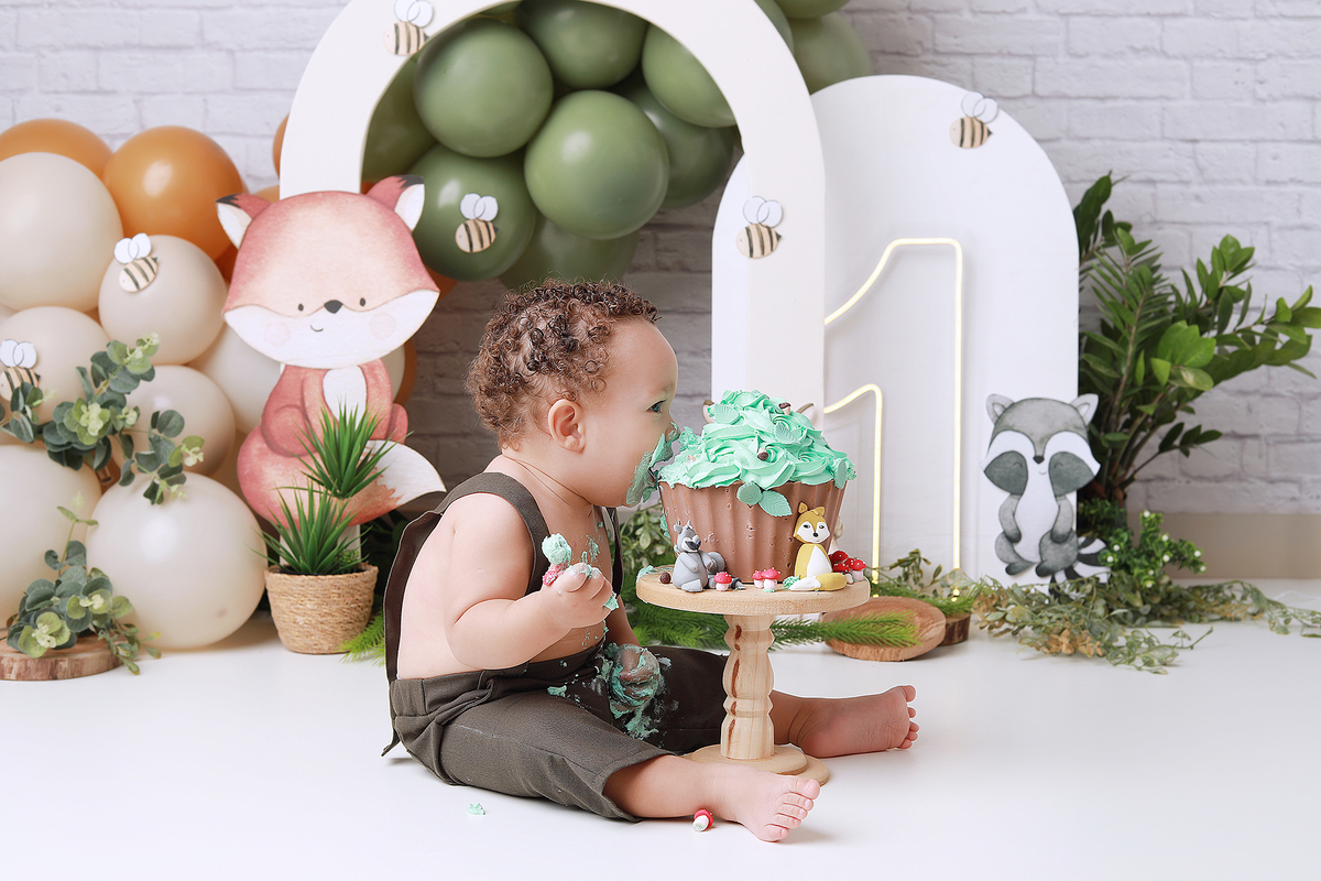 smash, smash the cake, ideias jardim encantado, sessão do bolinho, cake smash, smash the cake tema jardim encantado, smash the cake cenário jardim, jardim encantado,bolo jardim encantado,smash the cake para menina,sessão de um ano no tema jardim,borboleta