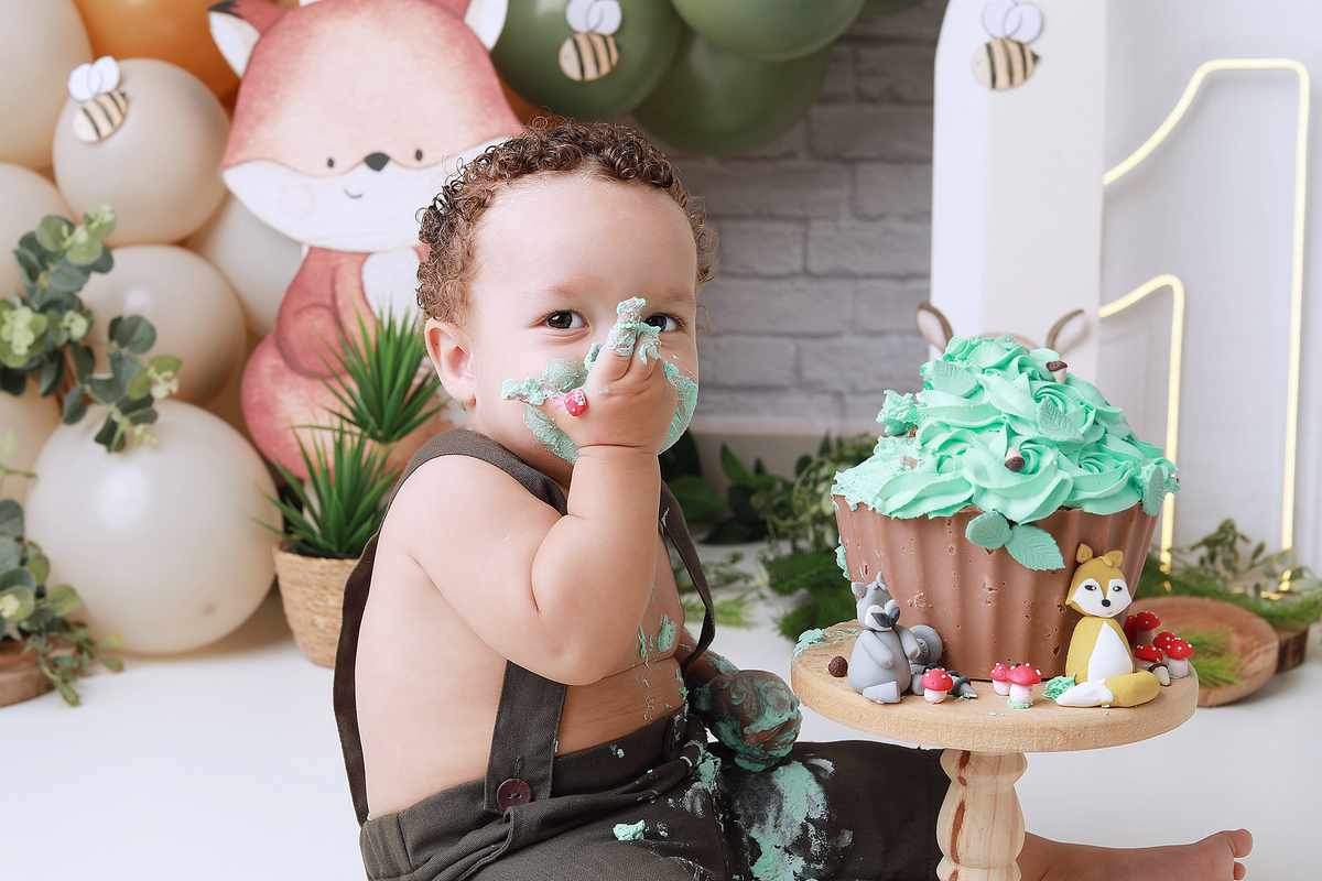 smash, smash the cake, ideias jardim encantado, sessão do bolinho, cake smash, smash the cake tema jardim encantado, smash the cake cenário jardim, jardim encantado,bolo jardim encantado,smash the cake para menina,sessão de um ano no tema jardim,borboleta