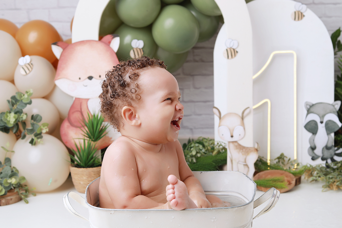 smash, smash the cake, ideias jardim encantado, sessão do bolinho, cake smash, smash the cake tema jardim encantado, smash the cake cenário jardim, jardim encantado,bolo jardim encantado,smash the cake para menina,sessão de um ano no tema jardim,borboleta