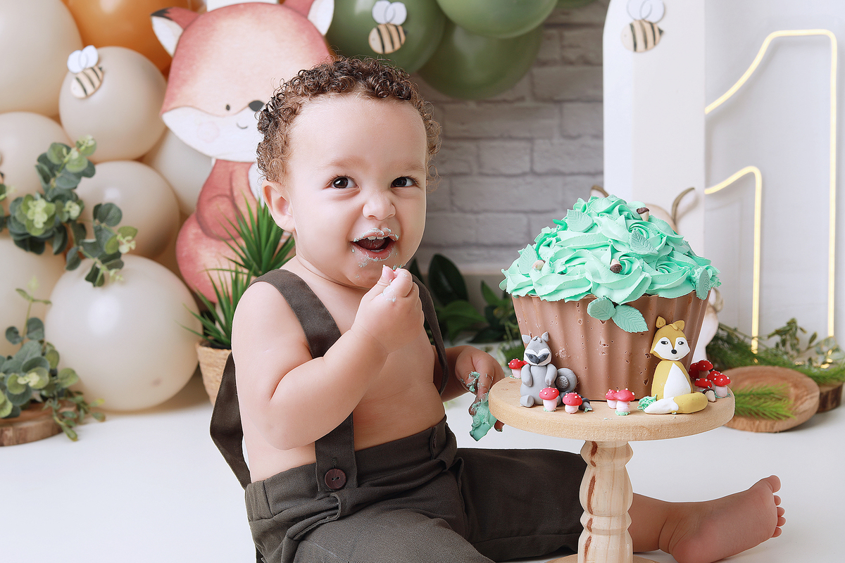 smash, smash the cake, ideias jardim encantado, sessão do bolinho, cake smash, smash the cake tema jardim encantado, smash the cake cenário jardim, jardim encantado,bolo jardim encantado,smash the cake para menina,sessão de um ano no tema jardim,borboleta