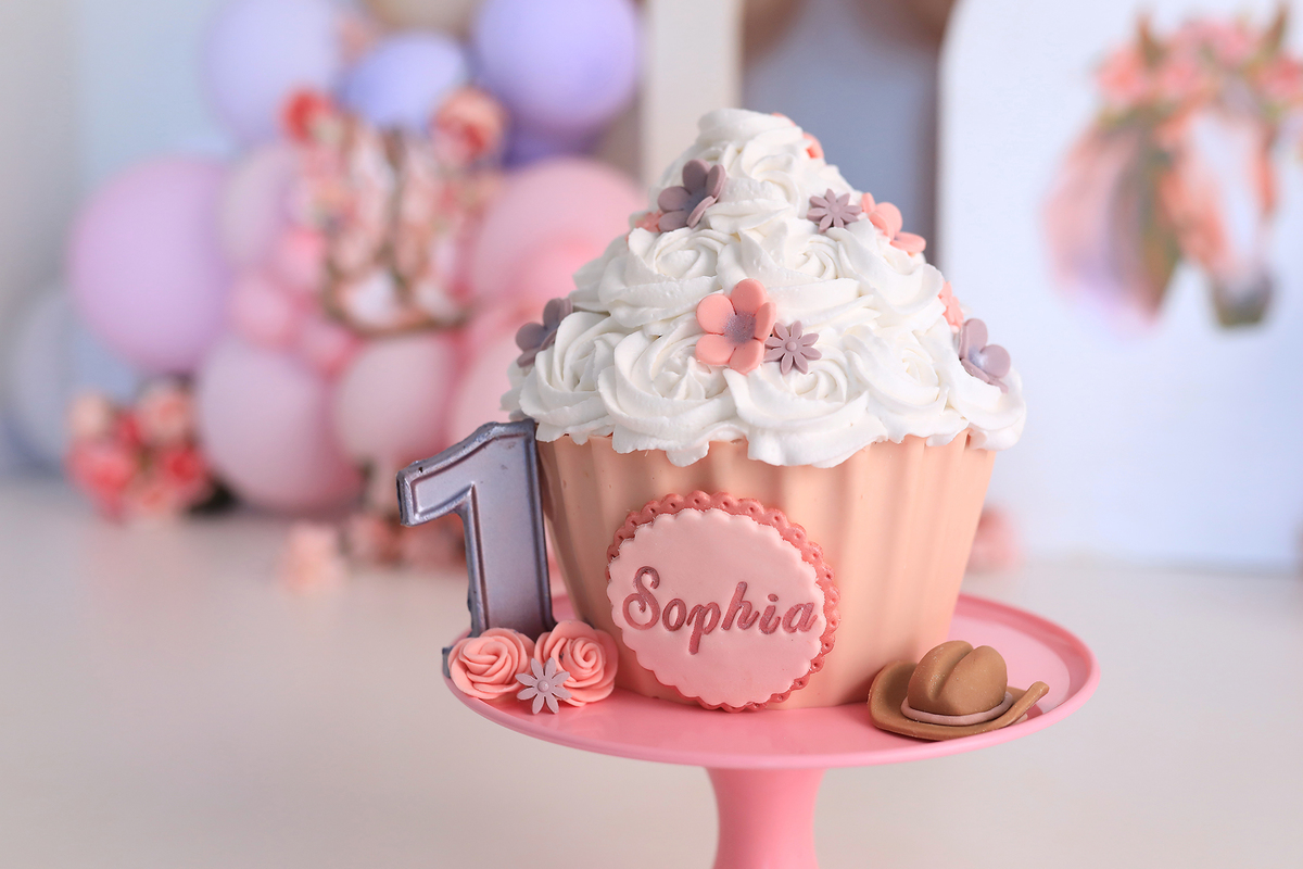 smash, smash the cake, boiadeira, sessão do bolinho, cake smash, smash the cake tema boiadeira, smash the cake cenário jardim, jardim encantado,bolo jardim encantado,smash the cake para menina,sessão de um ano no tema cavalos,country