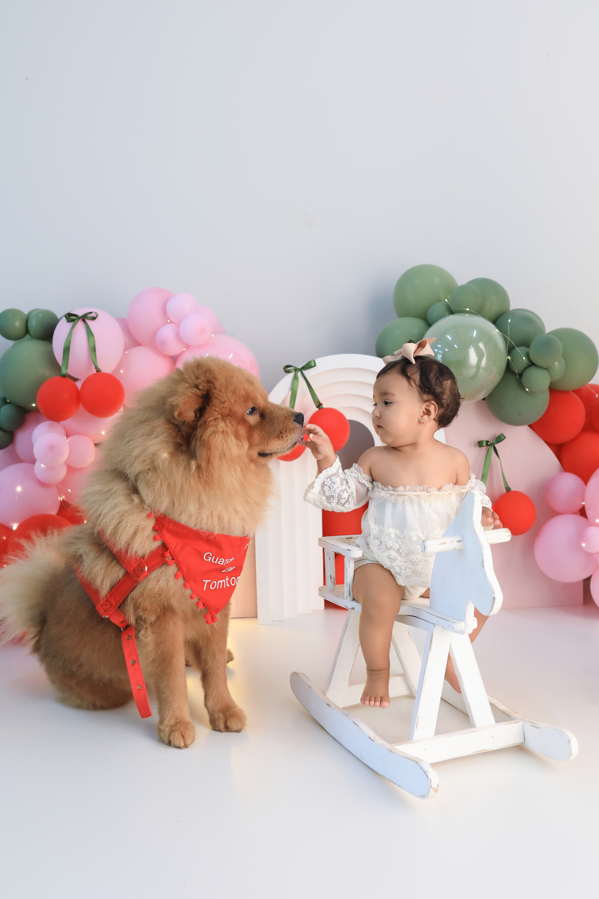 smash cerejinha,ideias de sessão cerejinha,cake smash,smash the fruit, ideias smash the fruit , tema cereja, a cereja do nosso bolos, mash the fruit para menina,sessão de um ano no tema cereja,sessao frutinhas, cereja, frutinhas, cerejinha, smash safari