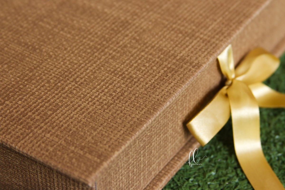 álbum encadernado, diagramação de álbum, diagramação, álbum fazendinha, diagramação de álbum fazendinha, fazendinha, smash the cake fazendinha,  design gráfico, 