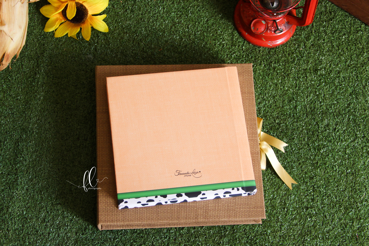 álbum encadernado, diagramação de álbum, diagramação, álbum fazendinha, diagramação de álbum fazendinha, fazendinha, smash the cake fazendinha,  design gráfico, 