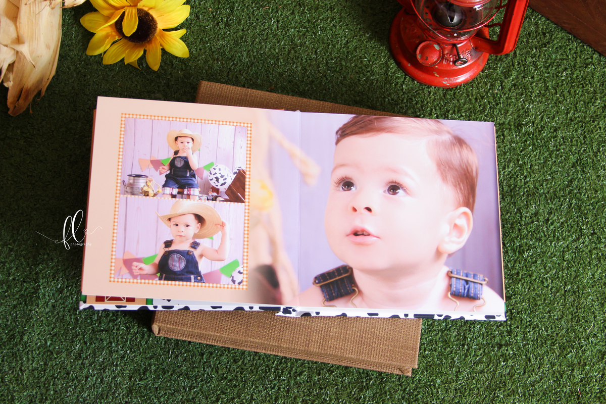 álbum encadernado, diagramação de álbum, diagramação, álbum fazendinha, diagramação de álbum fazendinha, fazendinha, smash the cake fazendinha,  design gráfico, 