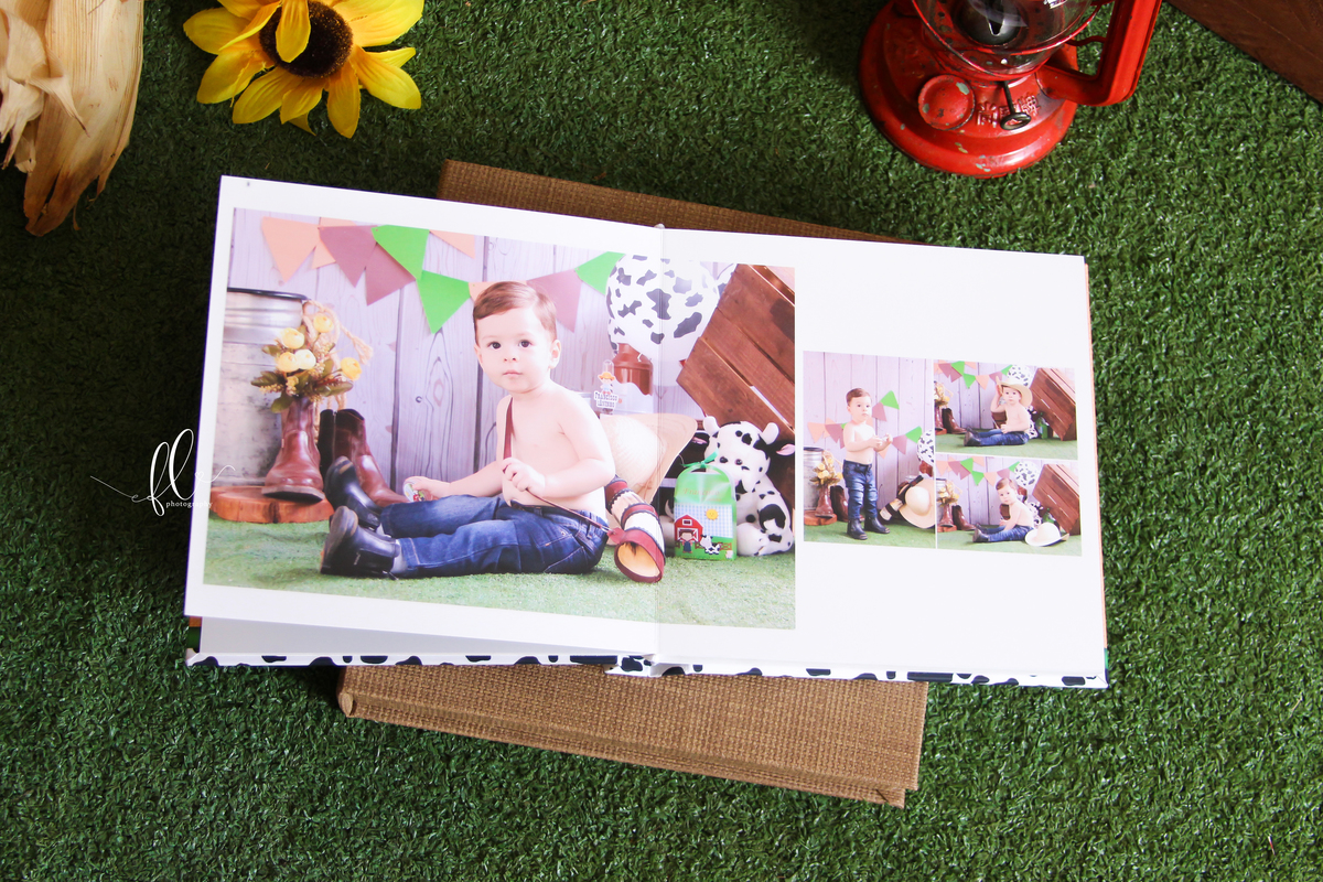 álbum encadernado, diagramação de álbum, diagramação, álbum fazendinha, diagramação de álbum fazendinha, fazendinha, smash the cake fazendinha,  design gráfico, 